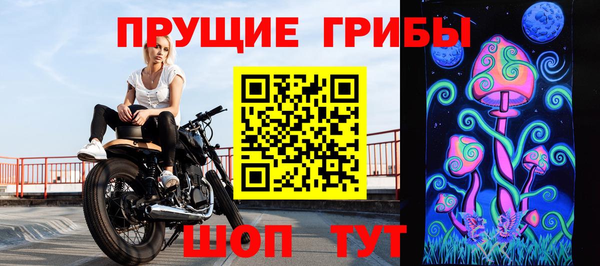 Мурманск  Галлюциногенные грибы Psilocybine cubensis  Вход с VPN 