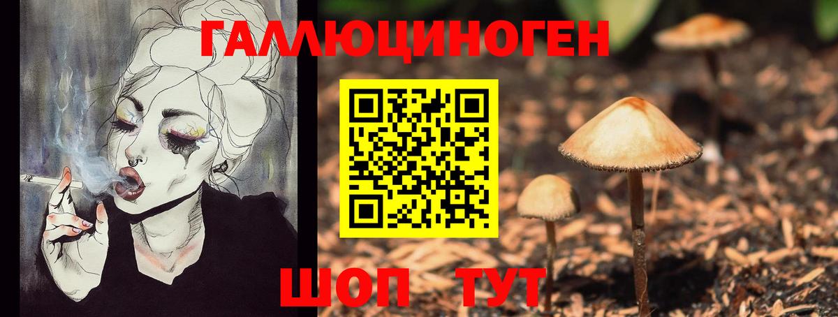 Псилоцибиновые грибы Psilocybe Мурманск