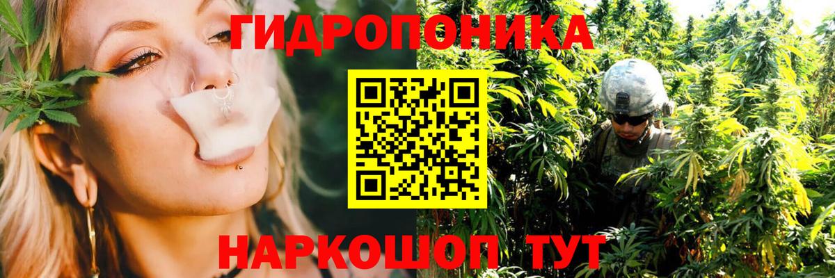 МАРИХУАНА OG Kush Мурманск